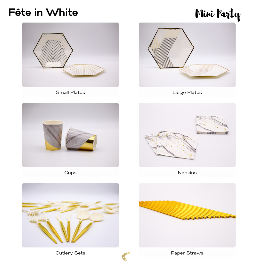 FETE IN WHITE PARTY SET