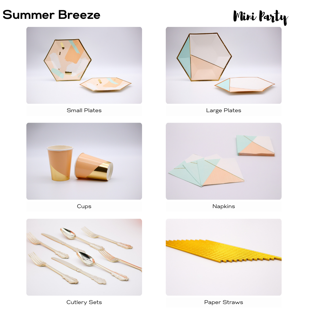 SUMMER BREEZE PARTY SET